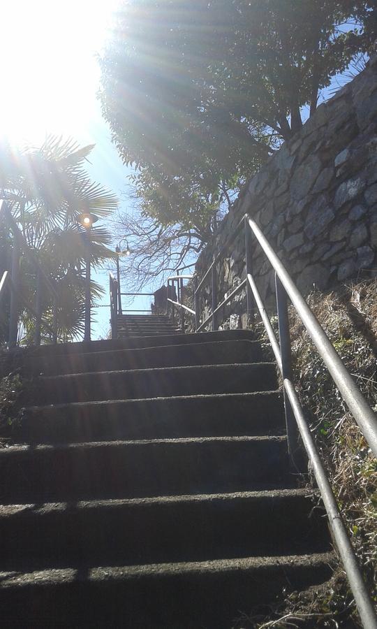 Il Nido Sul Lago Stresa Exteriör bild